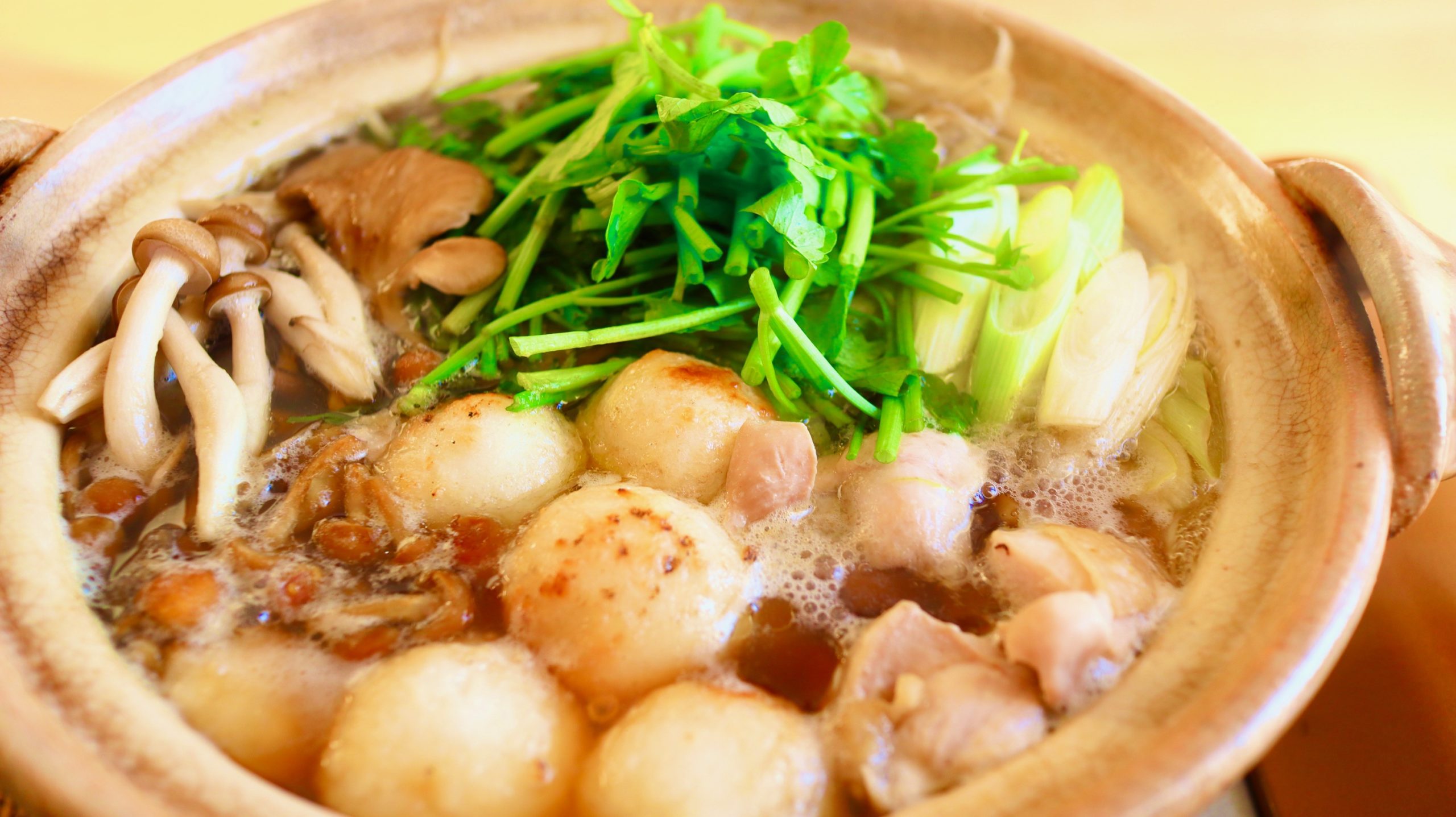 Gyoza nabe hot pot recipe - Japan Centre